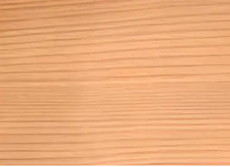 Cedar